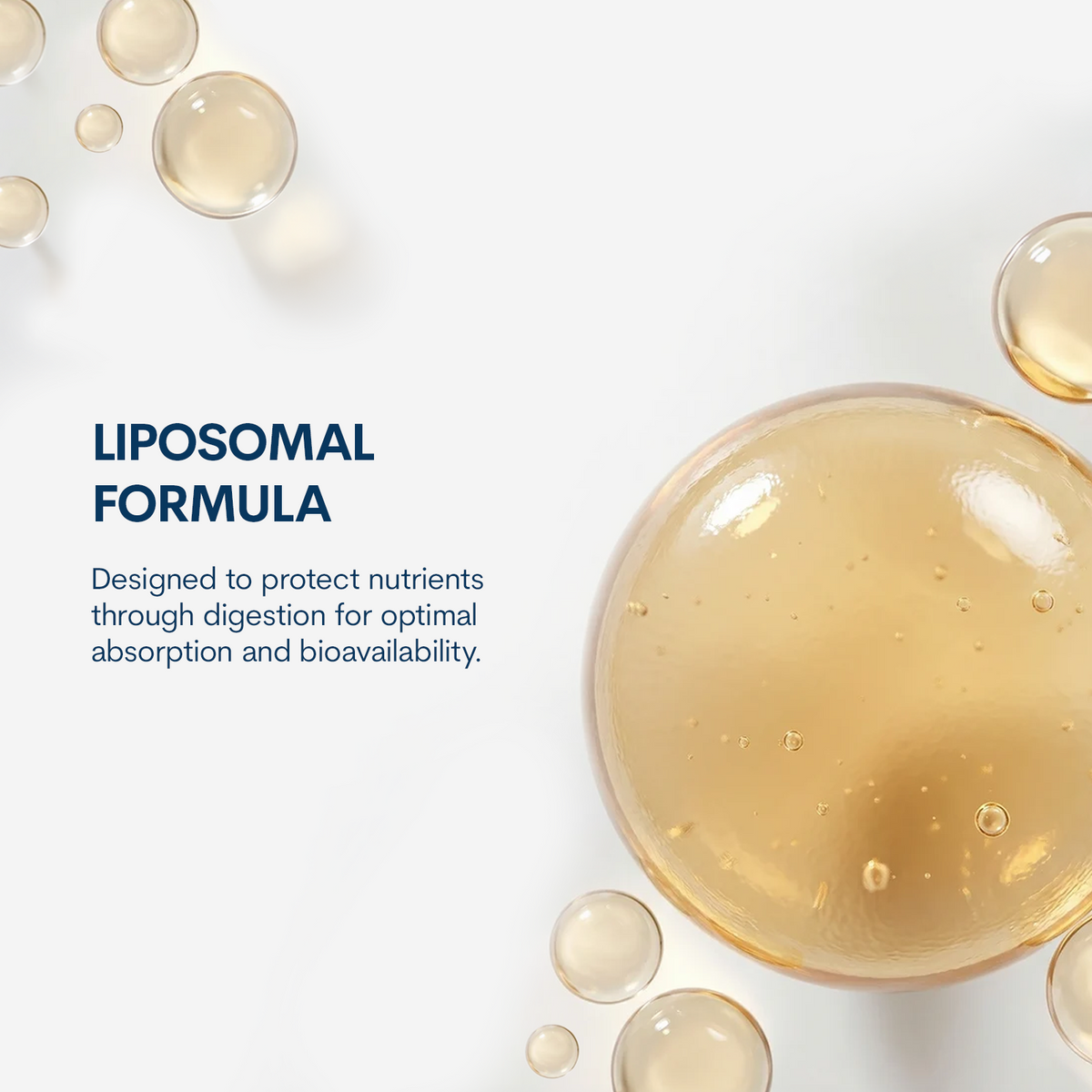 Liposomal Quercetin 200mg - Capsules (60 count / 30 servings)