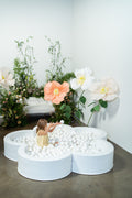 Mini Daisy Ball Pit (PREORDER)