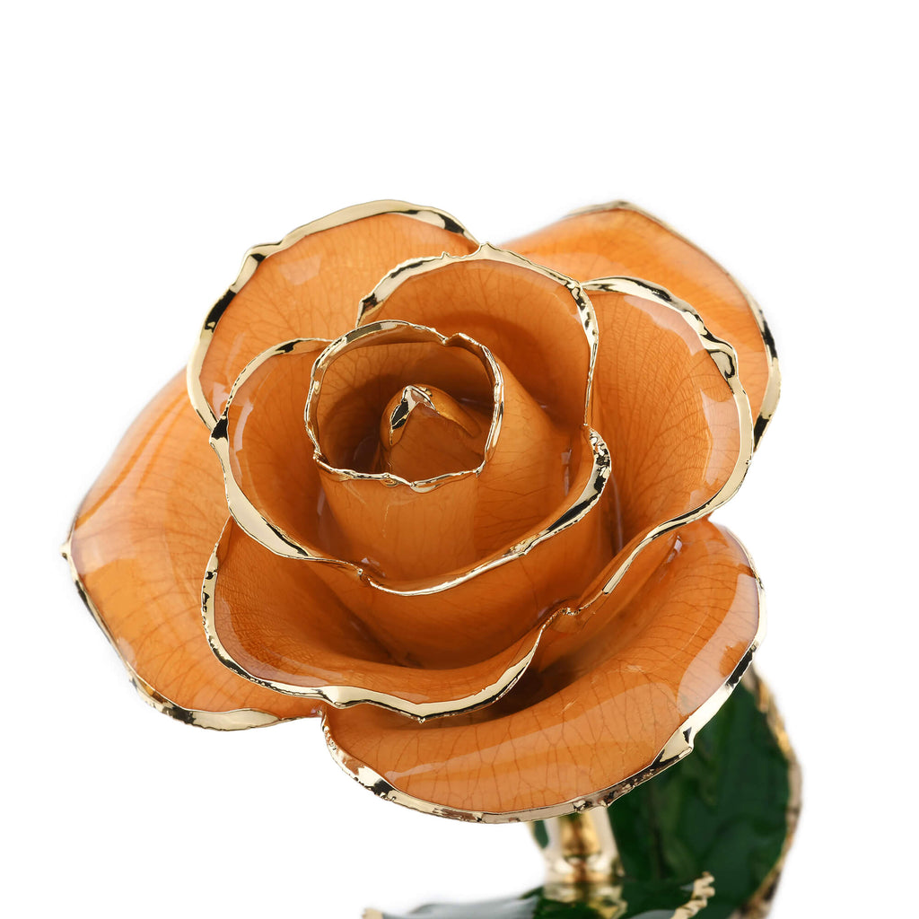 Timeless Rose (Pear)